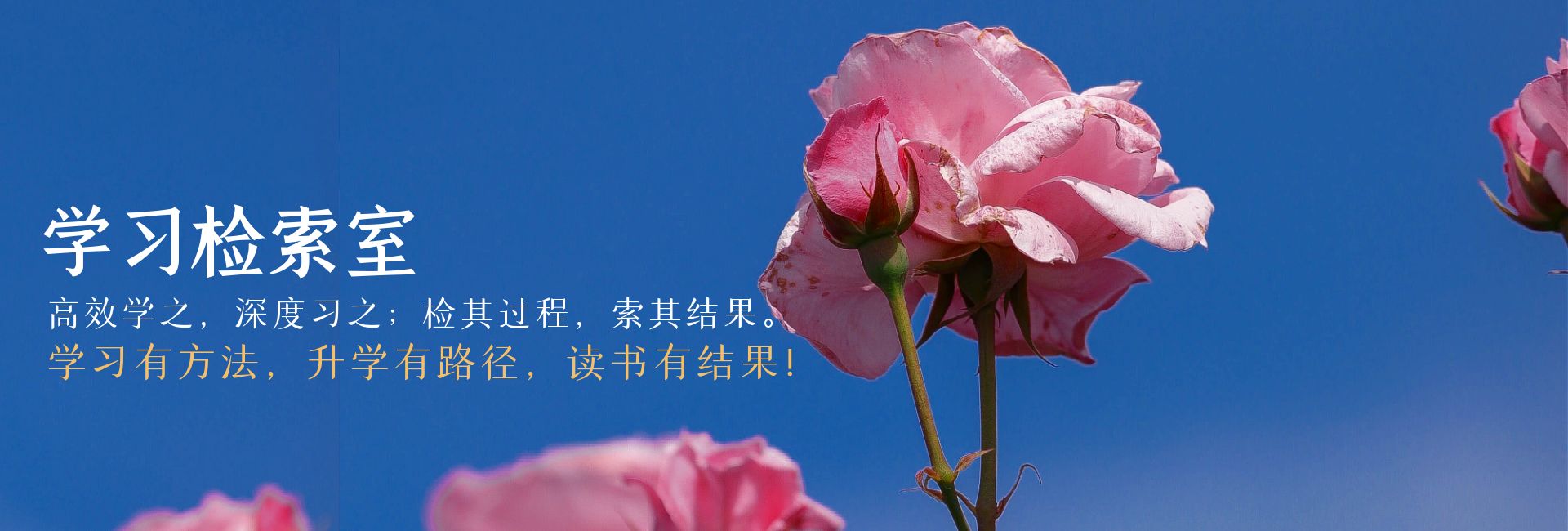 昆明海亦丰中学高考复读班老师好不好